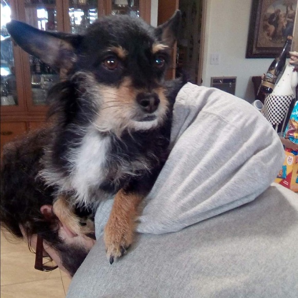 Meet your Posher, Peter - Picture 2 of 4